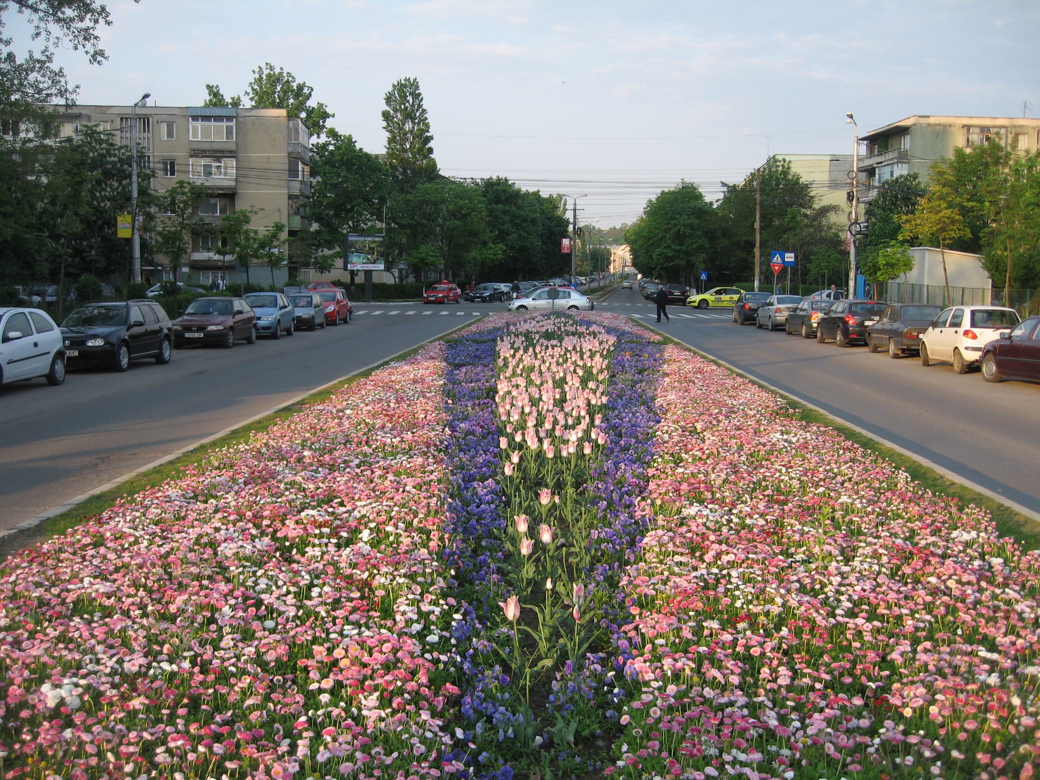 Cartierul Tudor Vladimirescu, Iași