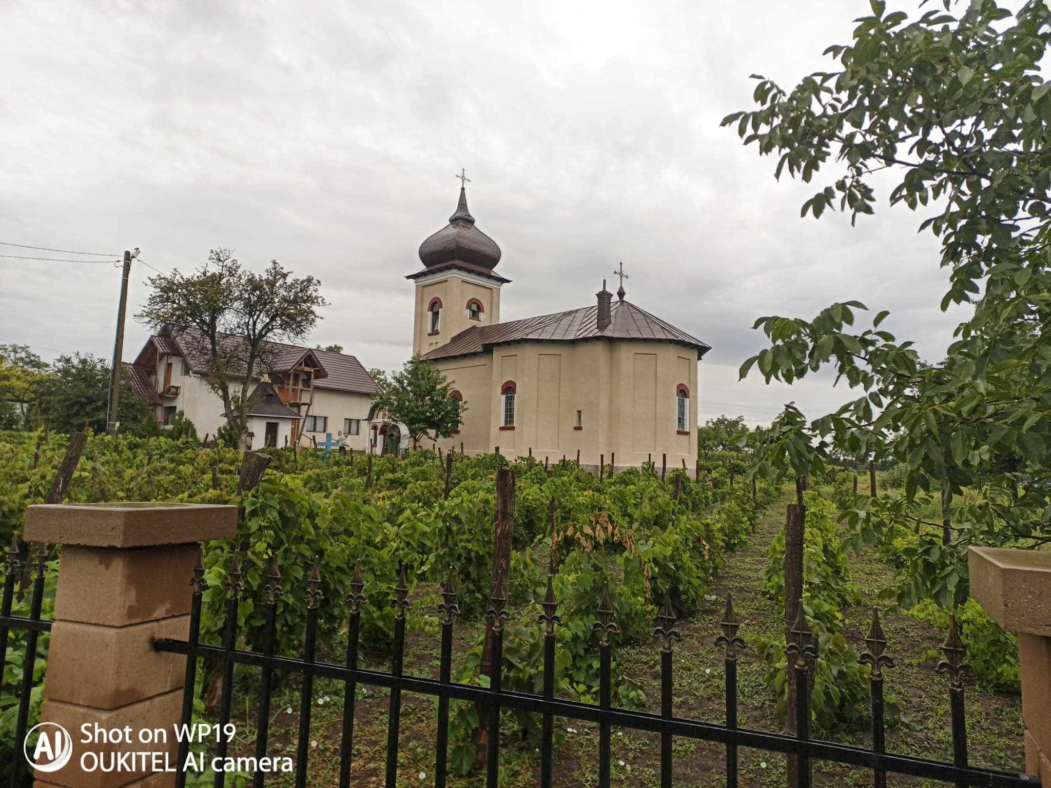 Cartierul Alexandru cel Bun, Iași