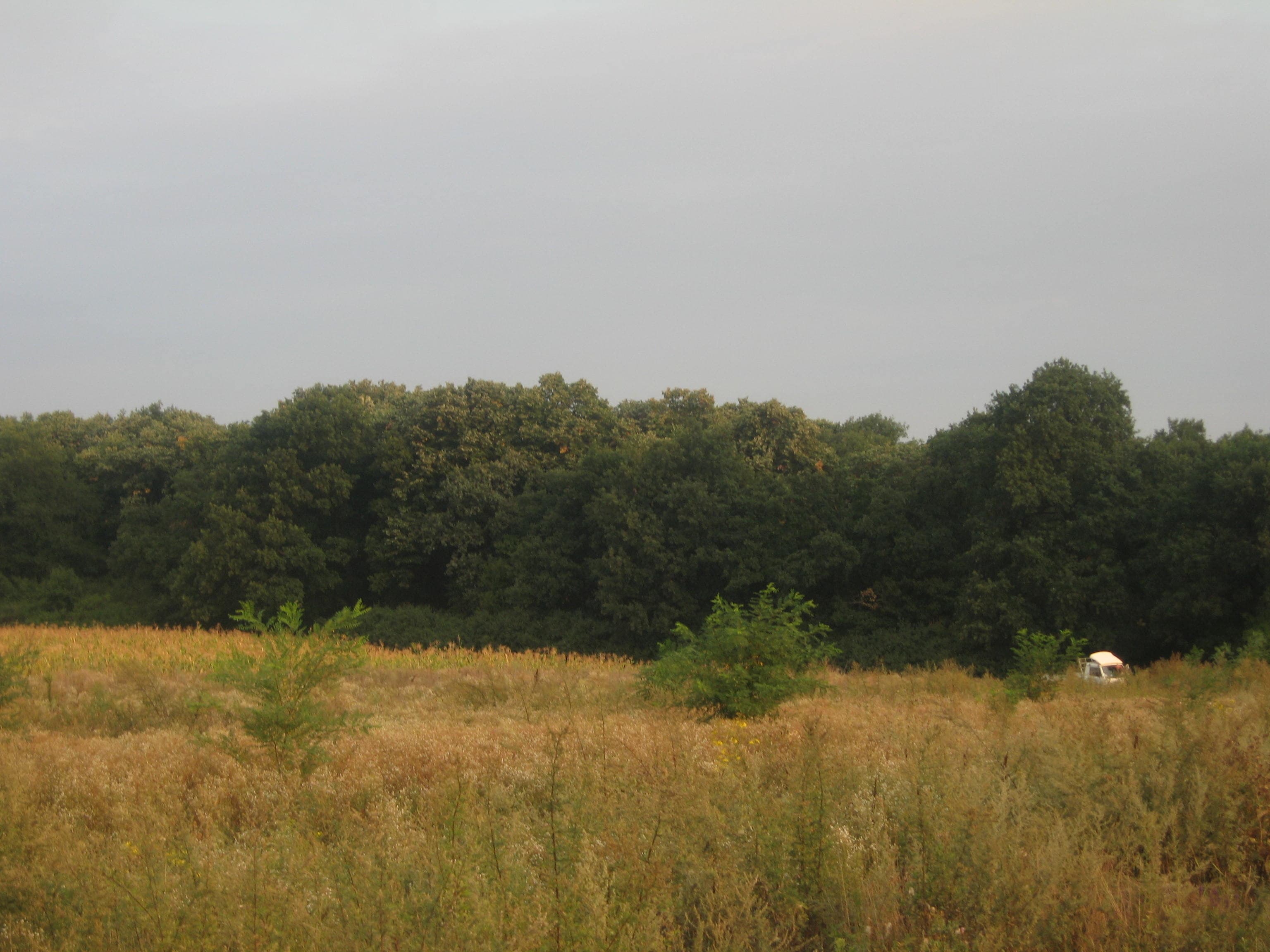 Cartierul Horpaz, Iași